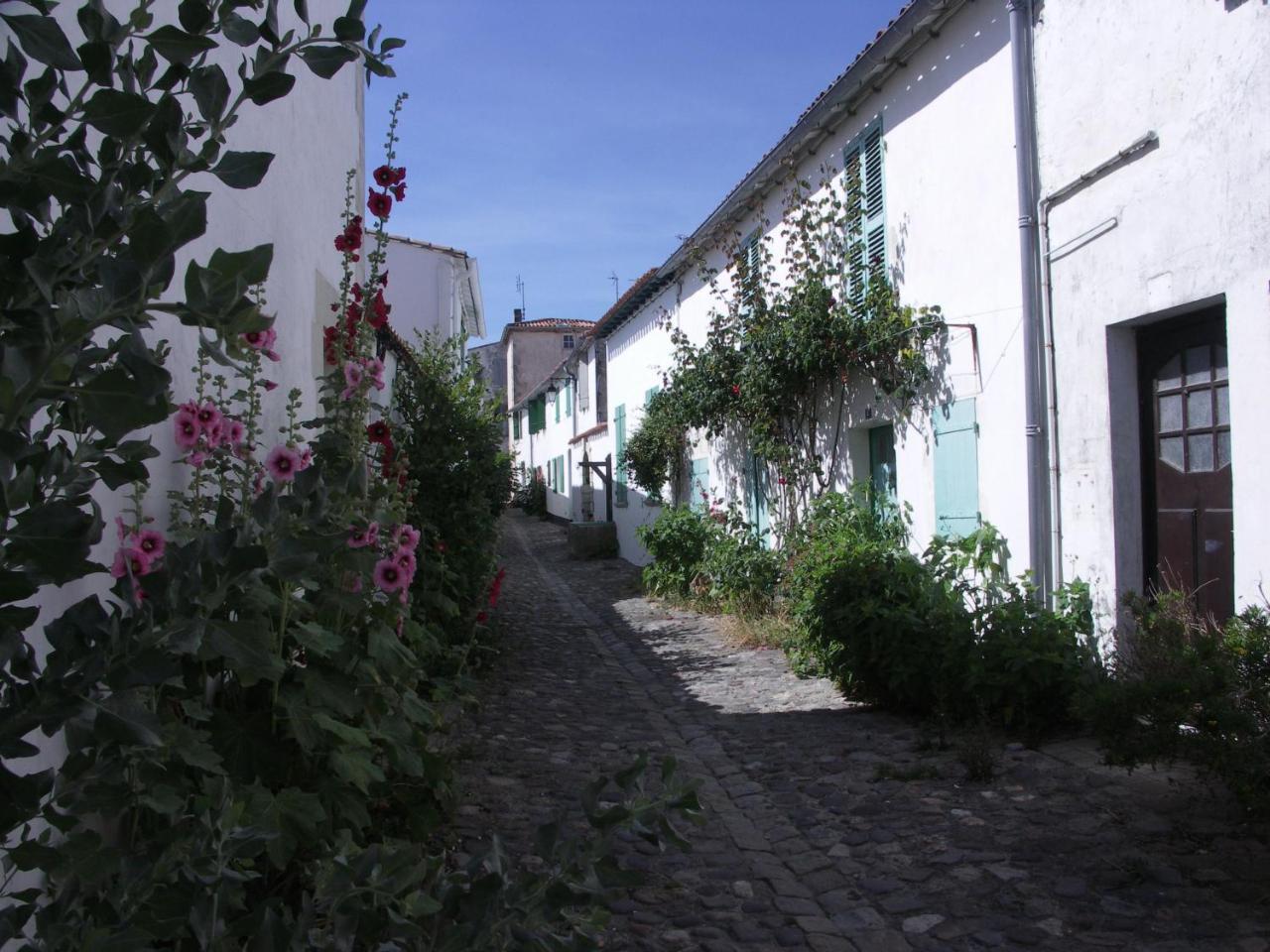Maison Antioche Saint-Martin-de-Re Ngoại thất bức ảnh